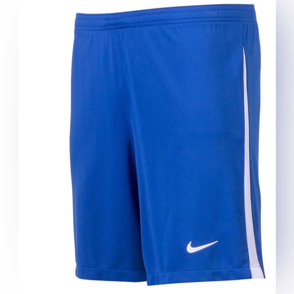 Nike Blue Athletic Shorts